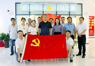 ذهبت Wanergy Hefei Power Generation Co.، Ltd. إلى شركة Yuanchen Technology للقيام بأنشطة تبادل بناء الحزب
